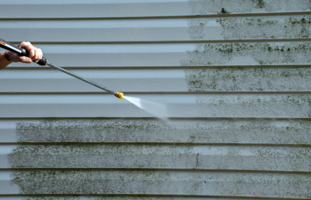 Spring Cleaning in Clinton, WA