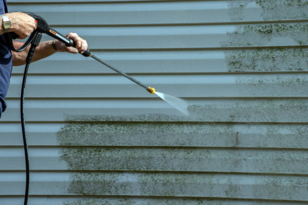 Professional Pressure Washing in Clinton, WA